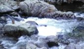 Excursión Otra actividad Dourbies - dourbies, dourbies par le saut de la chèvre - Photo 1