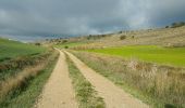 Trail Walking Isar - Compostelle 47 - Isar -> Castrojeriz - Photo 14