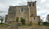 Excursión Senderismo Burgos - Compostelle 46 - Burgos -> Hornillo/Isar - Photo 7