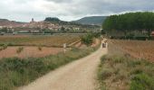 Tour Wandern Logroño - Compostelle 41 - Logroño -> Najera - Photo 8
