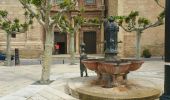 Tour Wandern Logroño - Compostelle 41 - Logroño -> Najera - Photo 6
