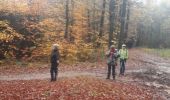 Tour Nordic Walking Limburg - gcolson - Photo 7