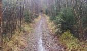 Trail Nordic walking Limbourg - gcolson - Photo 5