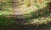 Trail Walking Nesmy - Pays de l'Yon & Vie N°9 - Photo 11
