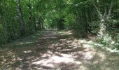 Trail Walking Charny Orée de Puisaye - Bernard Fonte nouille 7km5 - Photo 1