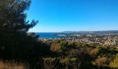 Tour Wandern Six-Fours les Plages - Pépiole et collégiale six fours - Photo 2