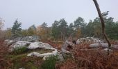 Excursión Senderismo Arbonne-la-Forêt - 171115 EnCours - Photo 9