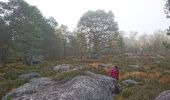 Tocht Stappen Arbonne-la-Forêt - 171115 EnCours - Photo 8