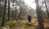 Tocht Stappen Arbonne-la-Forêt - 171115 EnCours - Photo 6