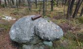 Excursión Senderismo Arbonne-la-Forêt - 171115 EnCours - Photo 5