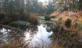 Excursión Senderismo Arbonne-la-Forêt - 171115 EnCours - Photo 3