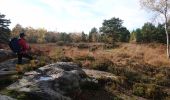 Excursión Senderismo Arbonne-la-Forêt - 171115 EnCours - Photo 2