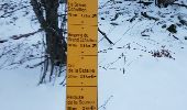 Randonnée Raquettes à neige Léoncel - Grand Echaillon 16 11 2017 - Photo 1