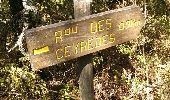 Trail Walking Berrias-et-Casteljau - Chassezac - Photo 19