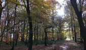 Tocht Stappen Chambourcy - chambourcy - forêt de marly - Désert de Retz - Photo 1
