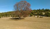 Randonnée Marche Redortiers - La plateau des Fraches - Photo 1