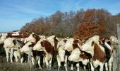 Tocht Stappen Saint-Poncy - St Poncy-Celoux - Photo 4