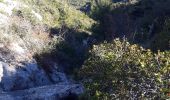 Trail Walking Auriol - la crete des infernets - Photo 1