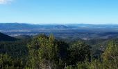 Tocht Stappen Fréjus - Malpey, Mont Vinaigre, La Duchesse, Malpey 3544 ET - Photo 10