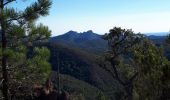 Trail Walking Fréjus - Malpey, Mont Vinaigre, La Duchesse, Malpey 3544 ET - Photo 3