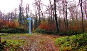 Trail Walking Vieux-Moulin - en forêt de Compiègne_8_Mont Collet_Mont St-Mard_RP de l'Armistice - Photo 19