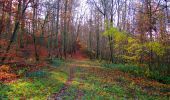 Trail Walking Vieux-Moulin - en forêt de Compiègne_8_Mont Collet_Mont St-Mard_RP de l'Armistice - Photo 10
