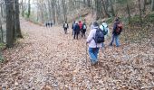 Trail Walking Maurepas - La Richarderie 23/11/2017 - Photo 12
