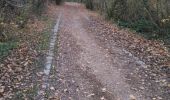 Trail Walking Jouy-le-Moutier - Jouy le moutier à Cergy par le chemin des miettes puis retour le long de l'Oise - Photo 5