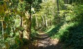 Randonnée Marche Quaregnon - La balade des terrils à Quaregnon - Photo 2