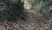 Trail Walking Le Sel-de-Bretagne - 27.11.2017 - PETIT FOUGERAY Nord à LE SEL Sud - Photo 20