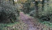 Trail Walking Le Sel-de-Bretagne - 27.11.2017 - PETIT FOUGERAY Nord à LE SEL Sud - Photo 6