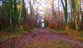 Trail Walking Compiègne - en forêt de Compiegne_9_Grand Parc - Photo 18