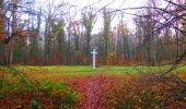 Trail Walking Compiègne - en forêt de Compiegne_9_Grand Parc - Photo 17