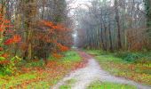 Trail Walking Compiègne - en forêt de Compiegne_9_Grand Parc - Photo 3