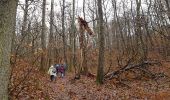 Trail Walking Le Mesnil-Saint-Denis - Le Pommeret 30/11/2017 - Photo 5