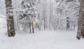Randonnée Raquettes à neige Léoncel - Le Grand Echaillon 18 12 2017 - Photo 5