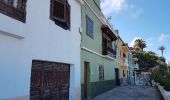 Randonnée Marche Los Realejos - Rondwandeling van Barranco Ruiz naar San Juan de la Rambla - Photo 8