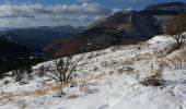 Trail Walking Saint-Vallier-de-Thiey - col du Ferrier dans la neige - Photo 9