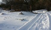 Trail Walking Saint-Vallier-de-Thiey - col du Ferrier dans la neige - Photo 6