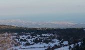 Trail Walking Saint-Vallier-de-Thiey - col du Ferrier dans la neige - Photo 3