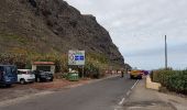 Excursión Senderismo Buenavista del Norte - Van Buenavista naar Teno Alto en naar Las Casas - Photo 14