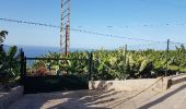 Tour Wandern Los Realejos - Van Playa de los Roques naar Café Vista Panoramica - Photo 8