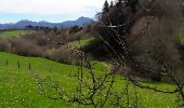Randonnée Marche Gelles - Les Etangs de Gelles 9km 148m - Photo 5