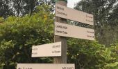 Randonnée Marche Milhaud - Capitelles de Milhaud - Photo 4