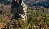 Excursión Senderismo La Roquebrussanne - La Loube - La Roquebrussane - Photo 2