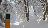 Excursión Raquetas de nieve Engins - Le Plateau de Sornin et La Dent du Loup - Photo 2