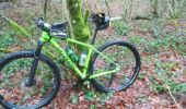 Percorso Mountainbike Bouillon - seb 28 boullion - Photo 13