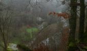 Tocht Mountainbike Bouillon - seb 28 boullion - Photo 1