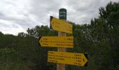 Randonnée Marche Fitou - Fitou tournée des Cortals ,des serres, des plats et des coumes - Photo 9