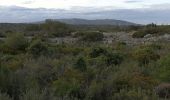 Excursión Senderismo Fitou - Fitou tournée des Cortals ,des serres, des plats et des coumes - Photo 13